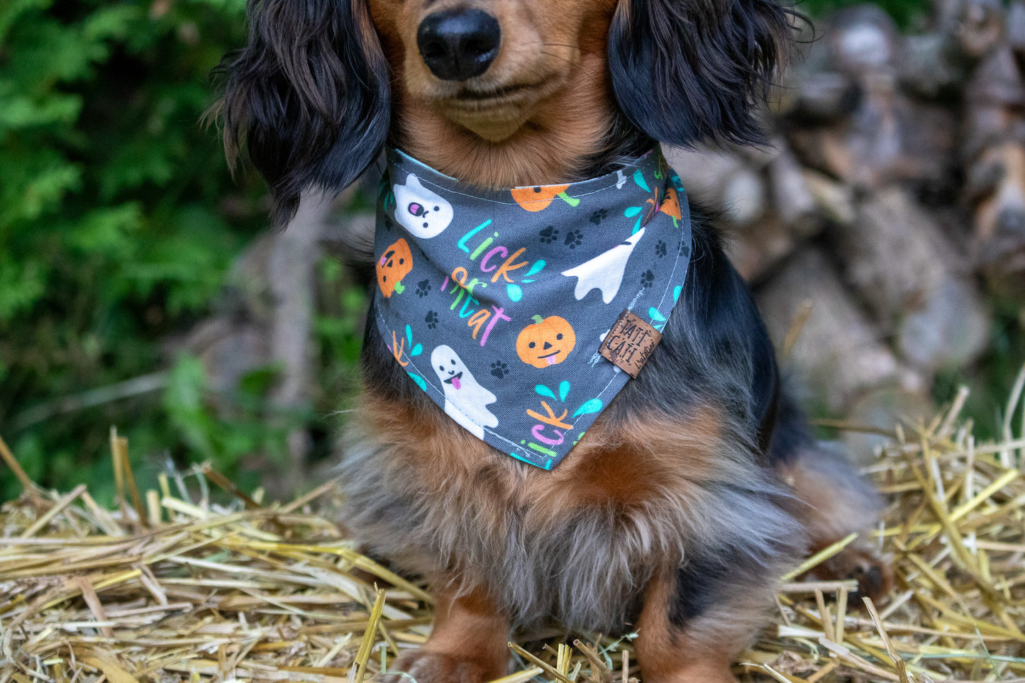 Bandana - Soir d'Halloween