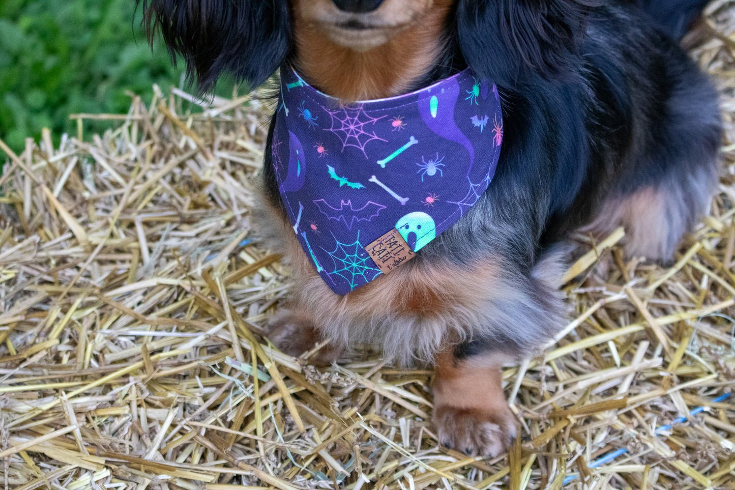 Bandana - Spooky