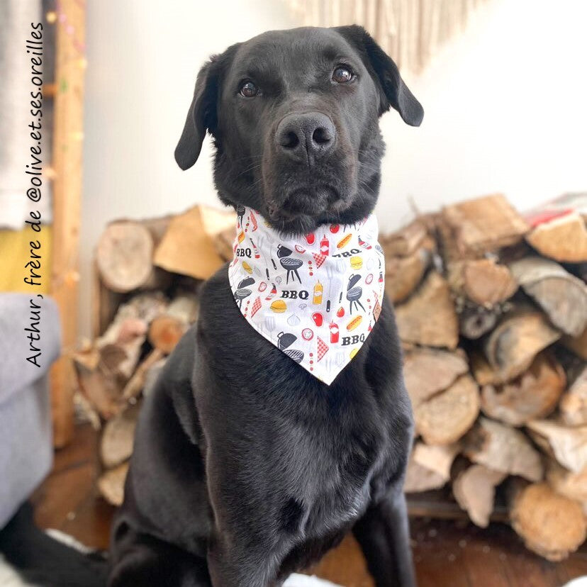 Bandana - BBQ
