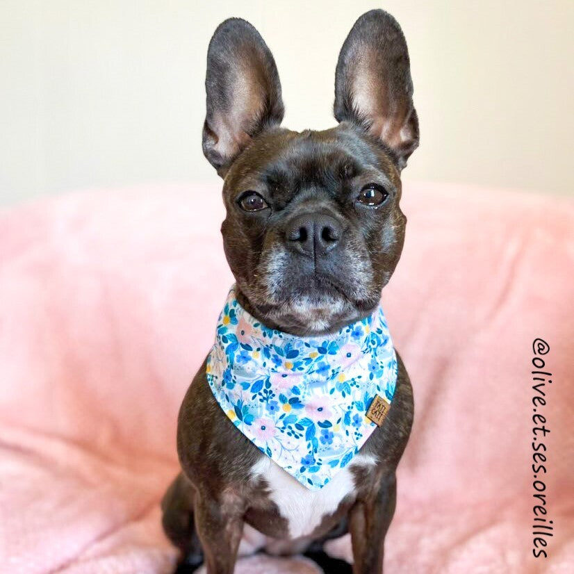 Bandana - Chat-fleurs d'été