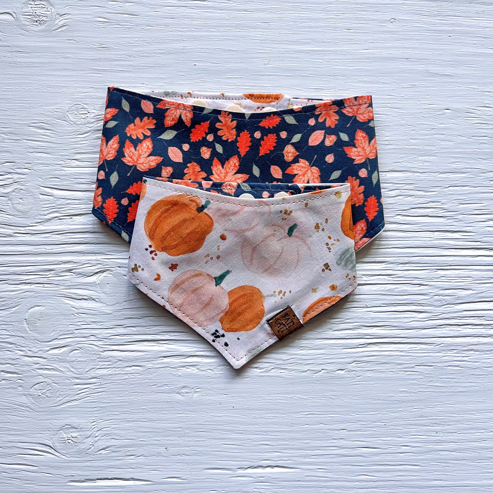 Bandana - Citrouilles magiques