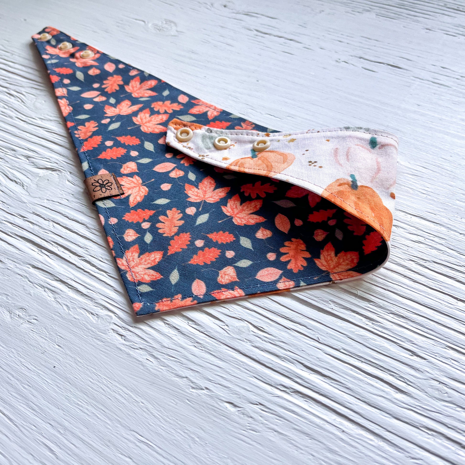 Bandana - Citrouilles magiques